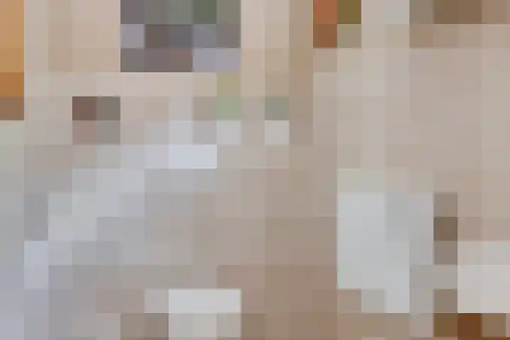 Hereweg 243 Meeden thumbnail 9