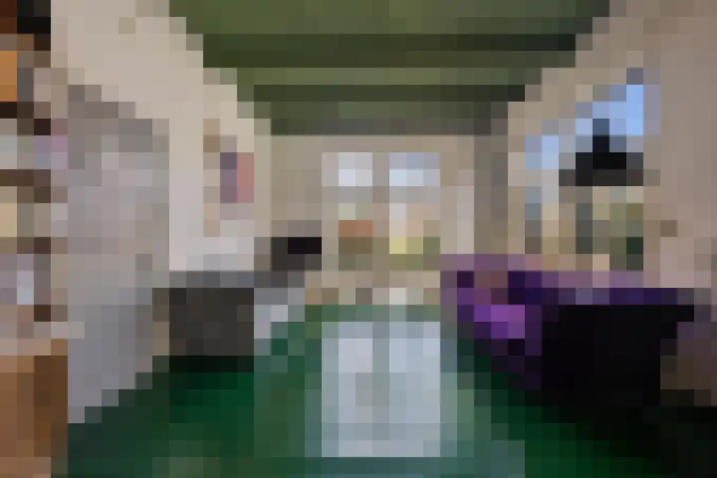 Hereweg 244 Meeden thumbnail 12