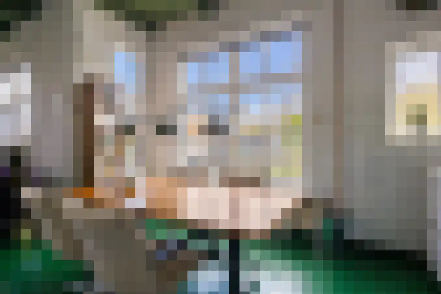 Hereweg 244 Meeden thumbnail 15