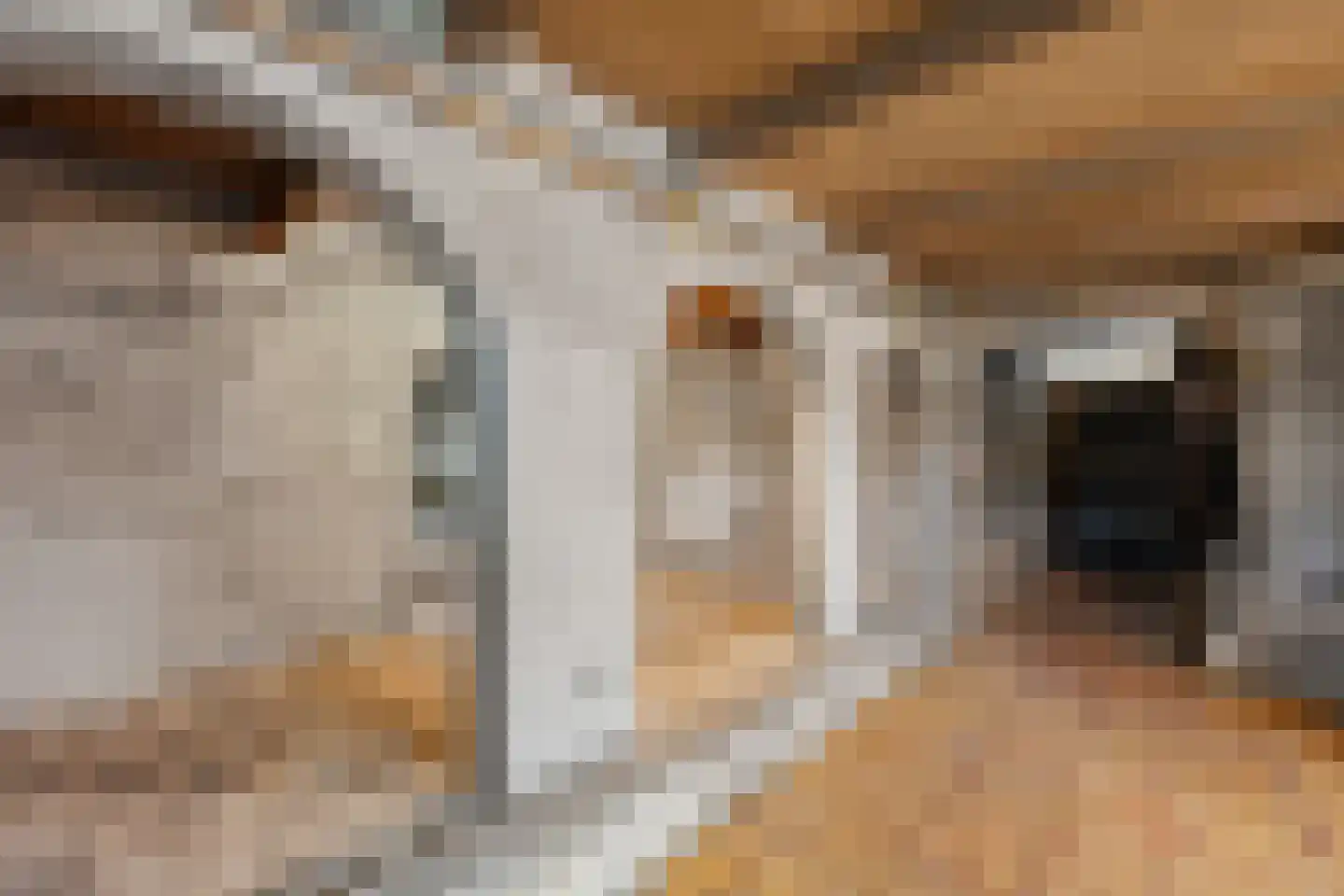 Hereweg 244 Meeden thumbnail 25