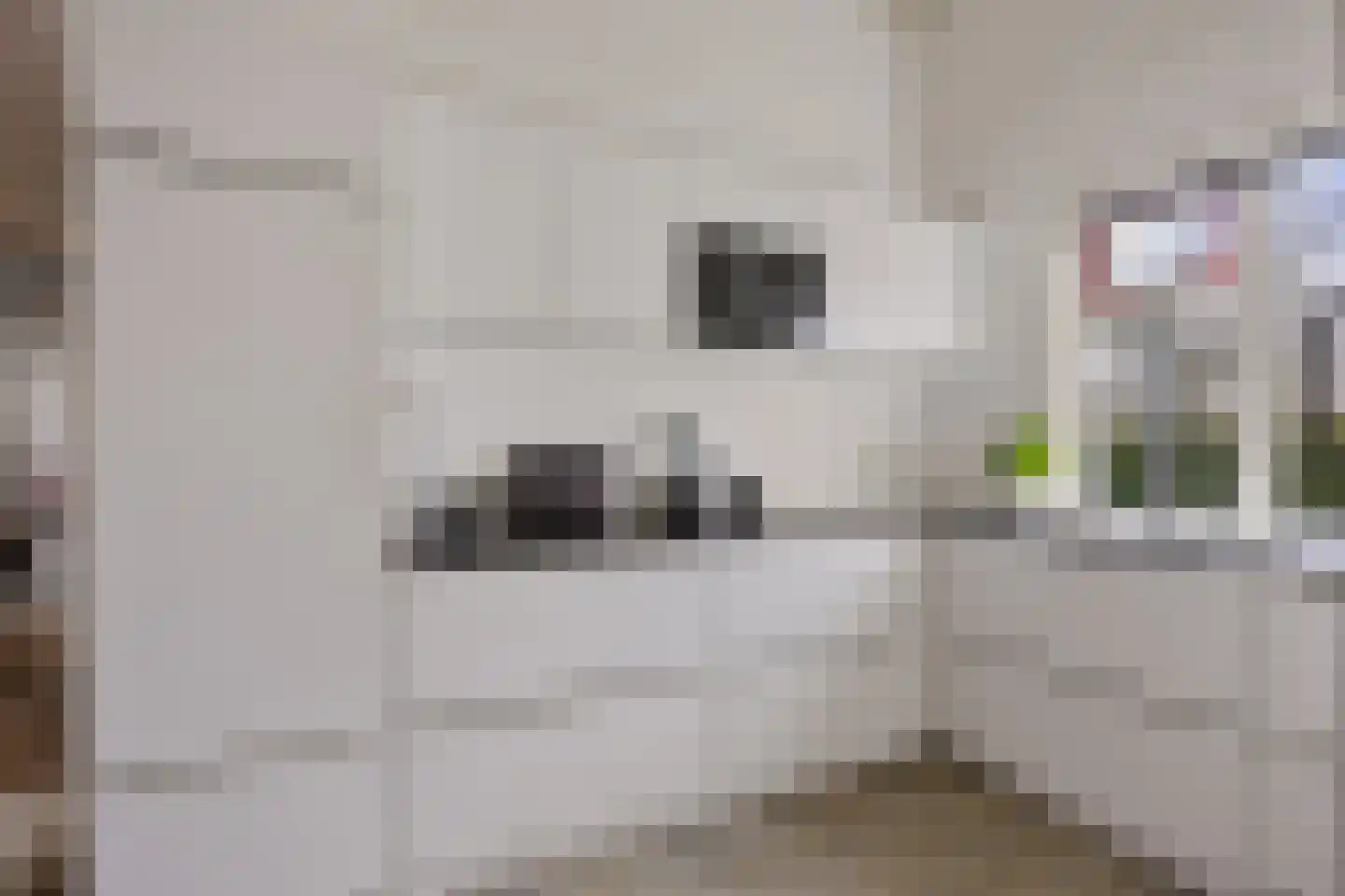 Hereweg 244 Meeden thumbnail 28