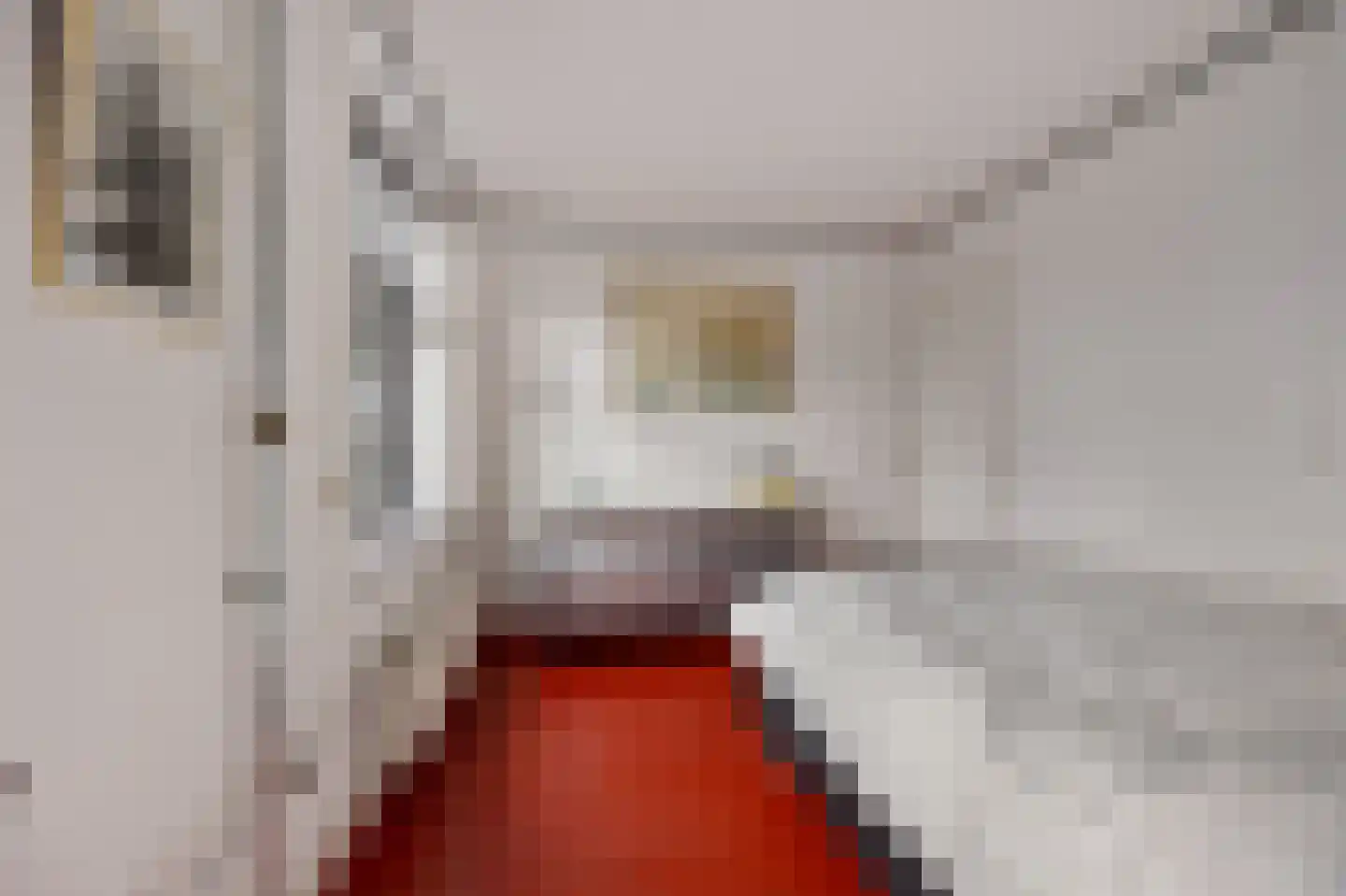 Hereweg 244 Meeden thumbnail 32