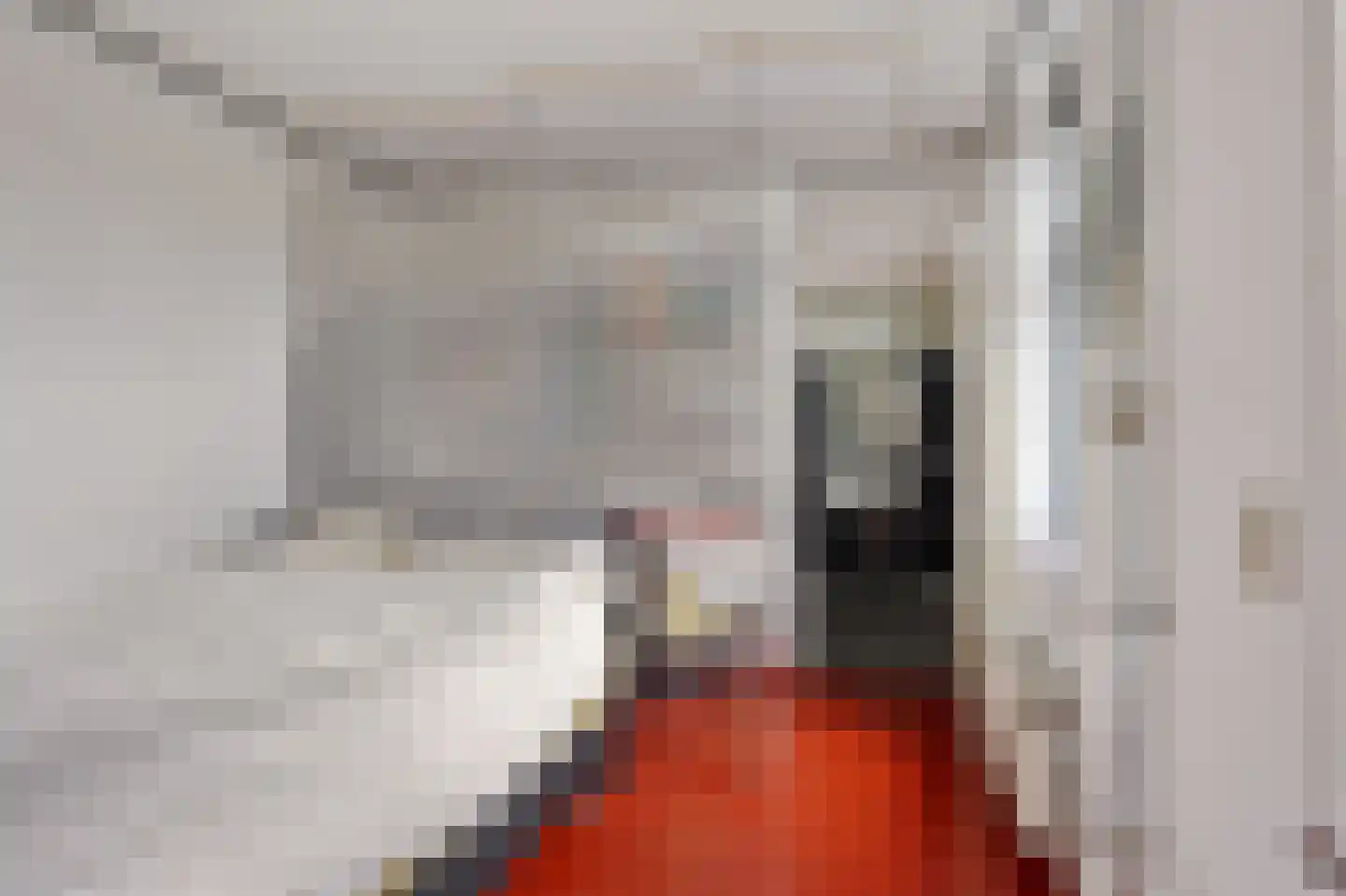 Hereweg 244 Meeden thumbnail 33