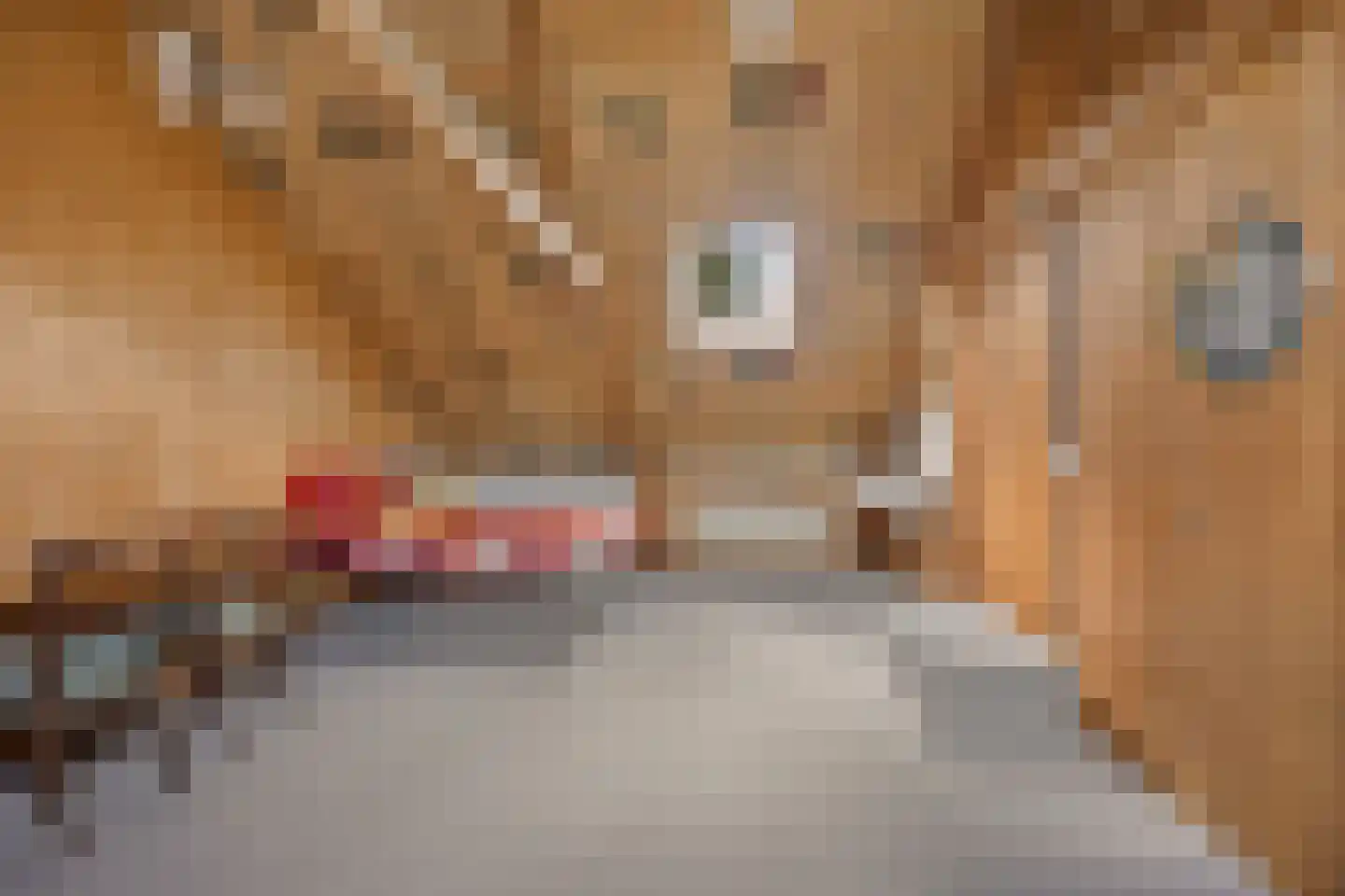 Hereweg 244 Meeden thumbnail 51