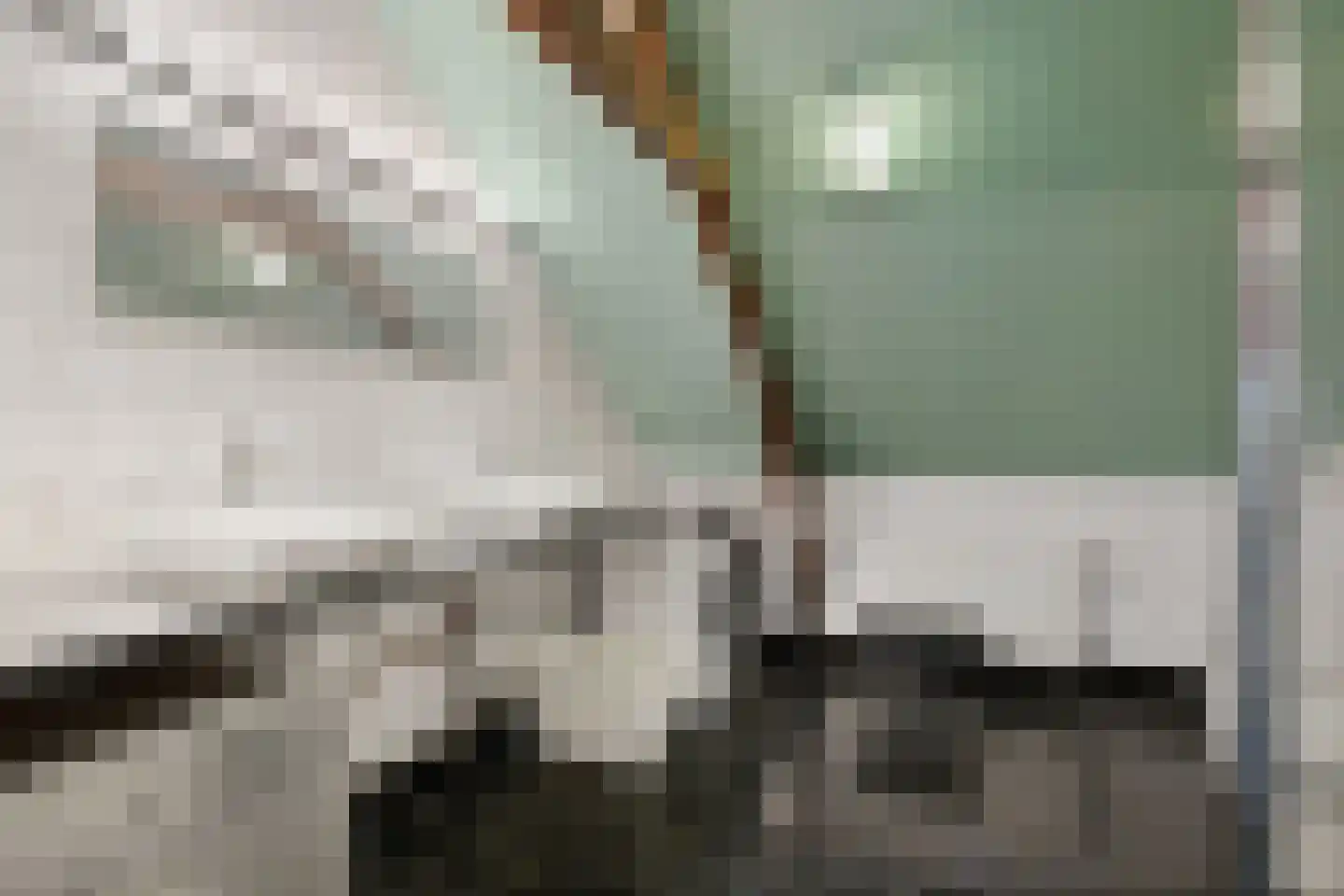 Hereweg 244 Meeden thumbnail 54
