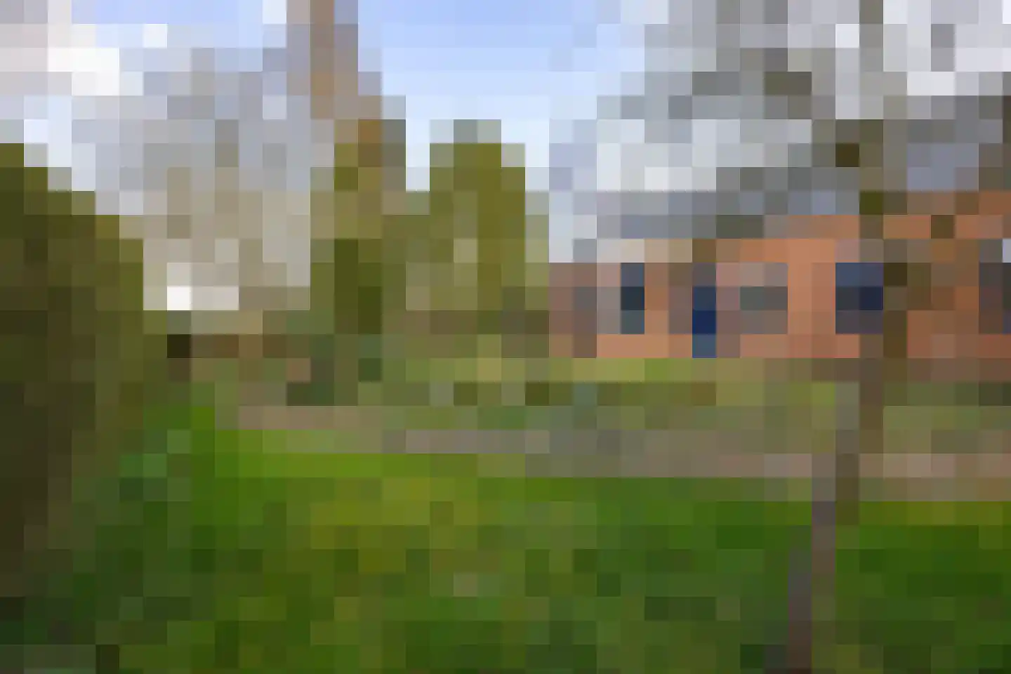 Hereweg 244 Meeden thumbnail 70