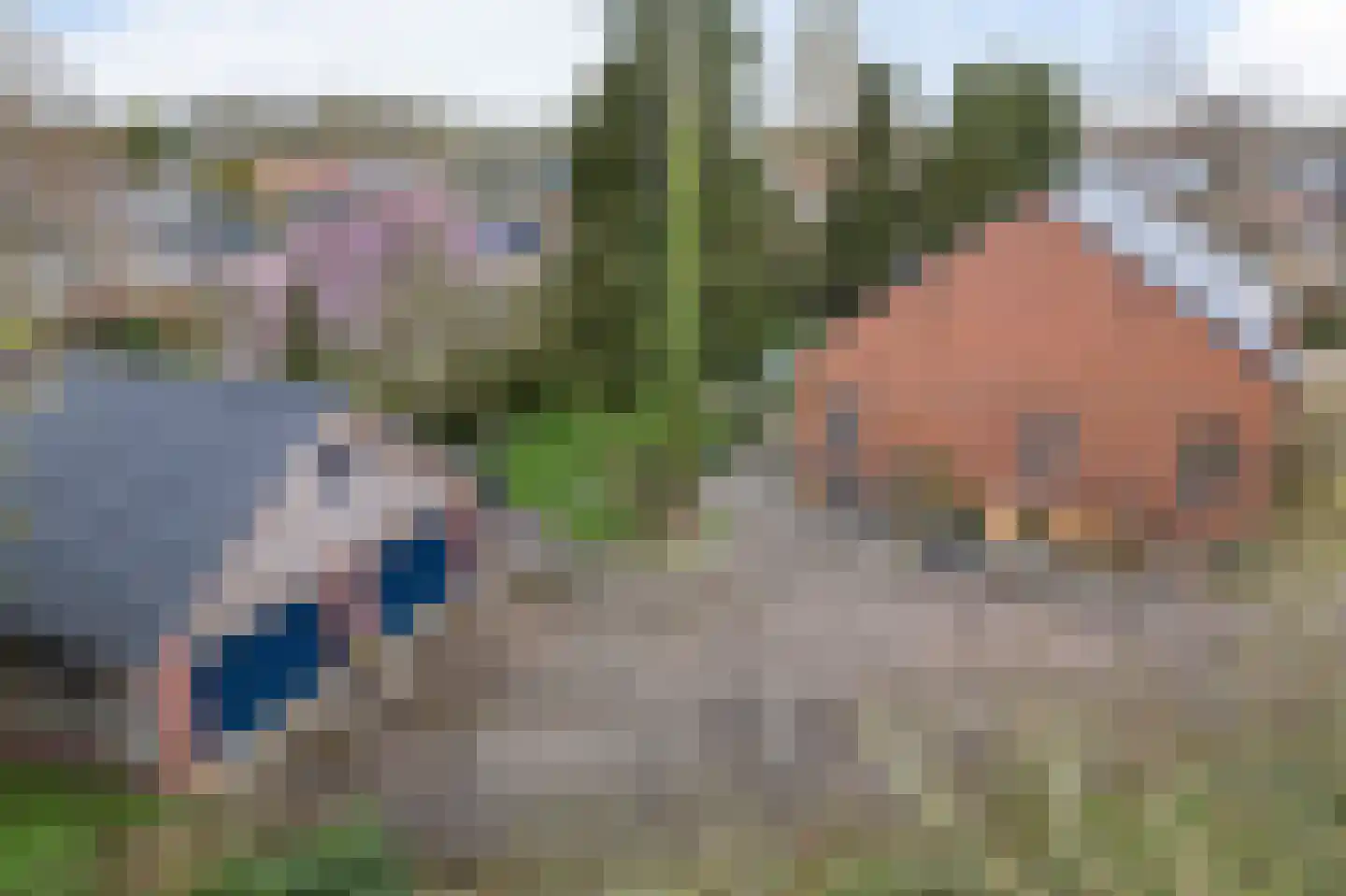 Hereweg 244 Meeden thumbnail 74