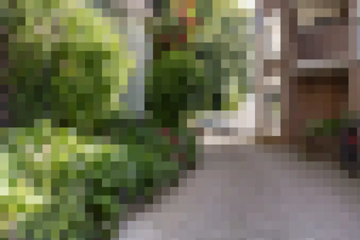 Hereweg 26 b Groningen thumbnail 39