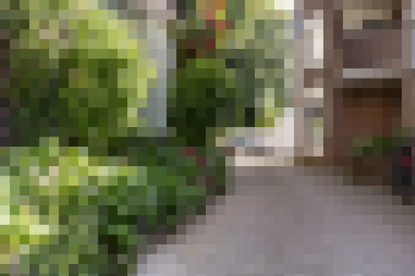 Hereweg 26 b Groningen thumbnail 39