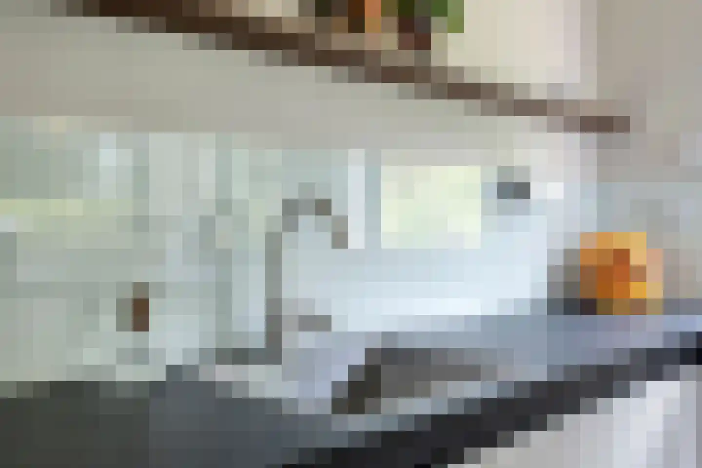 Hereweg 266 Meeden thumbnail 16