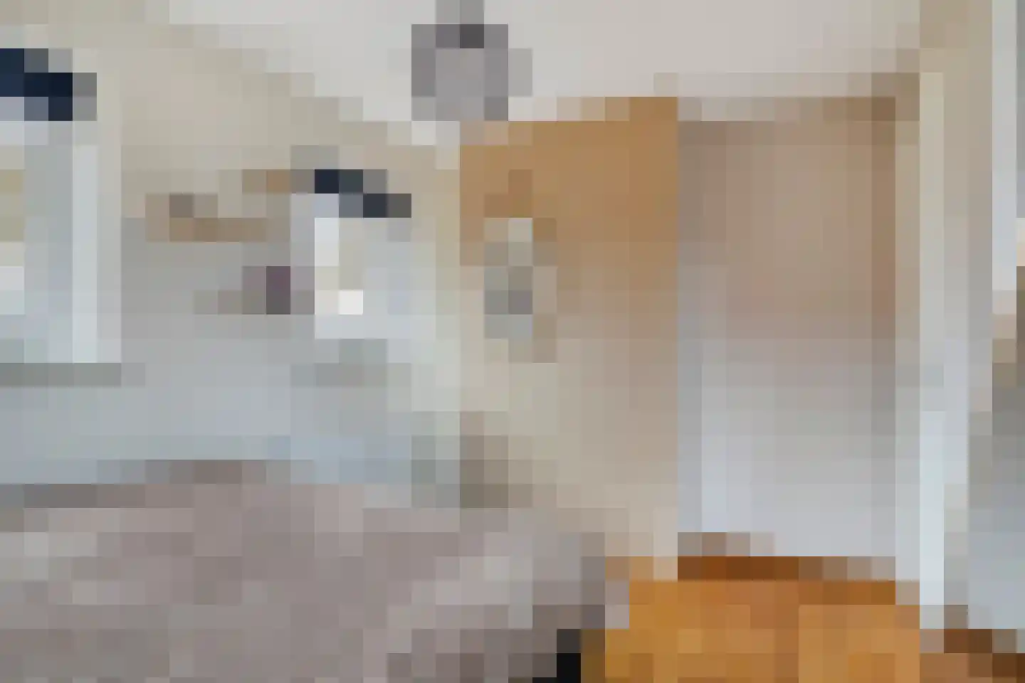 Hereweg 266 Meeden thumbnail 28