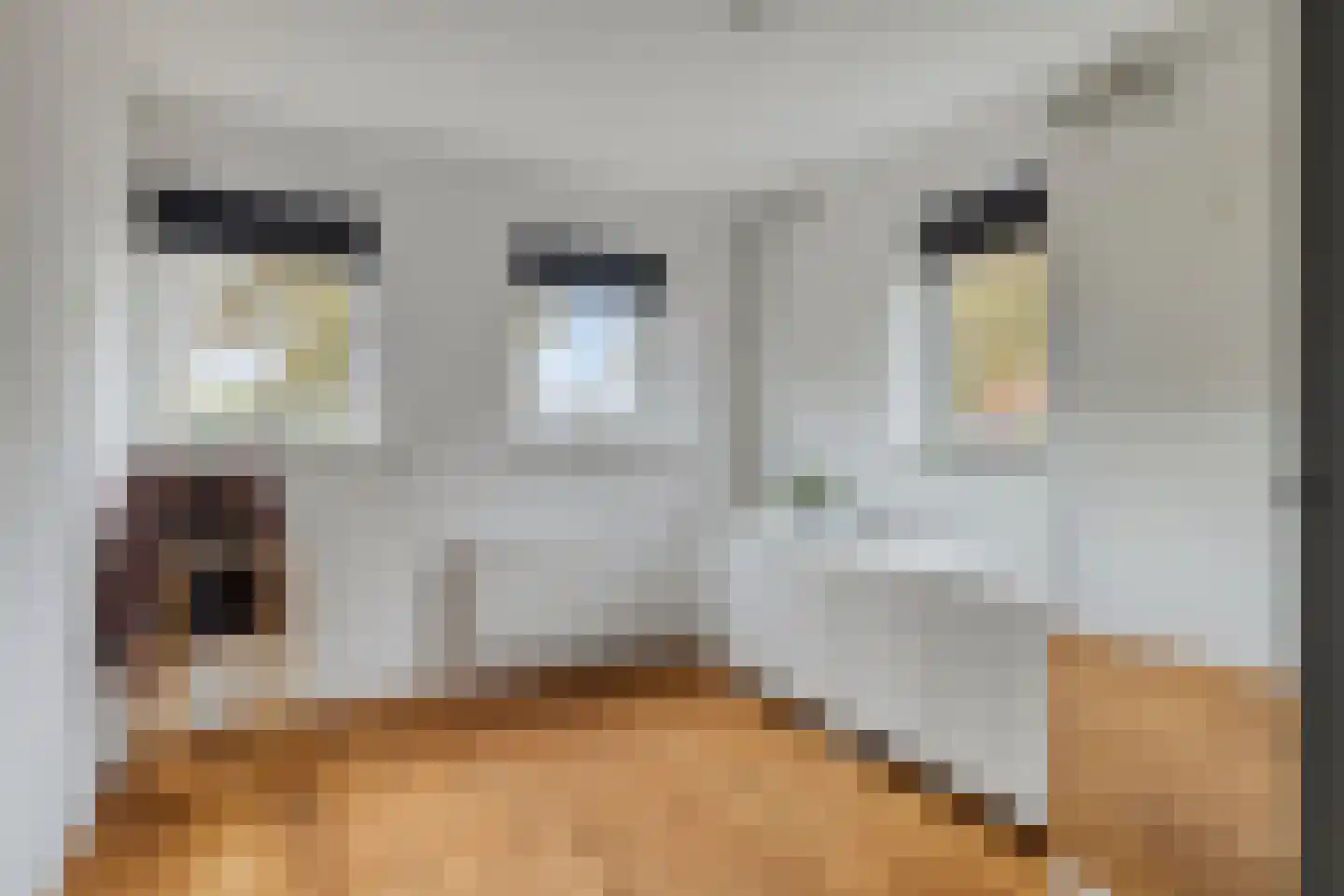 Hereweg 266 Meeden thumbnail 32
