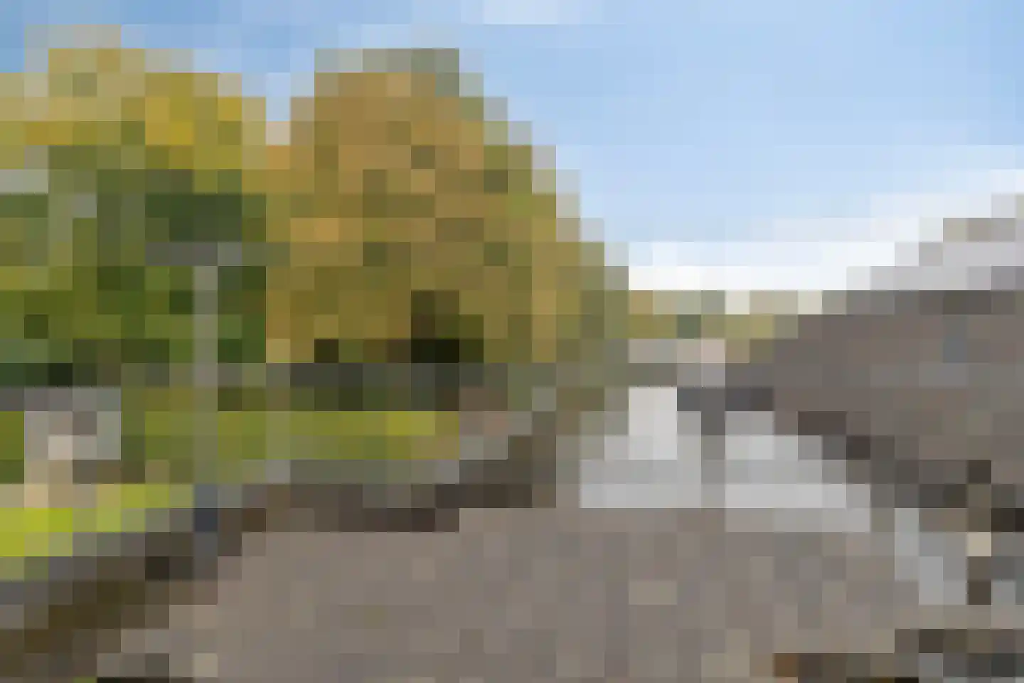 Hereweg 266 Meeden thumbnail 33