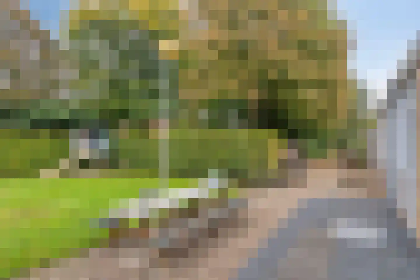 Hereweg 266 Meeden thumbnail 46