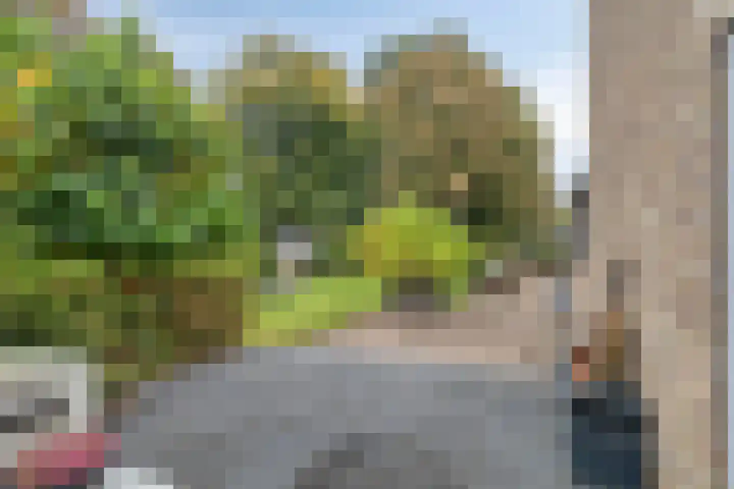 Hereweg 266 Meeden thumbnail 47
