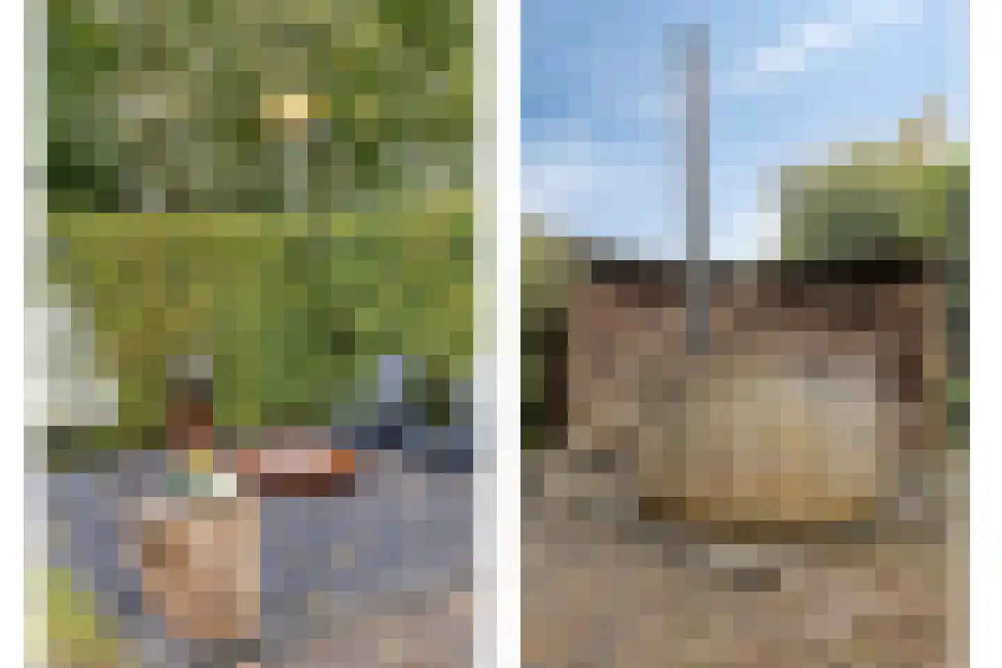 Hereweg 266 Meeden thumbnail 53