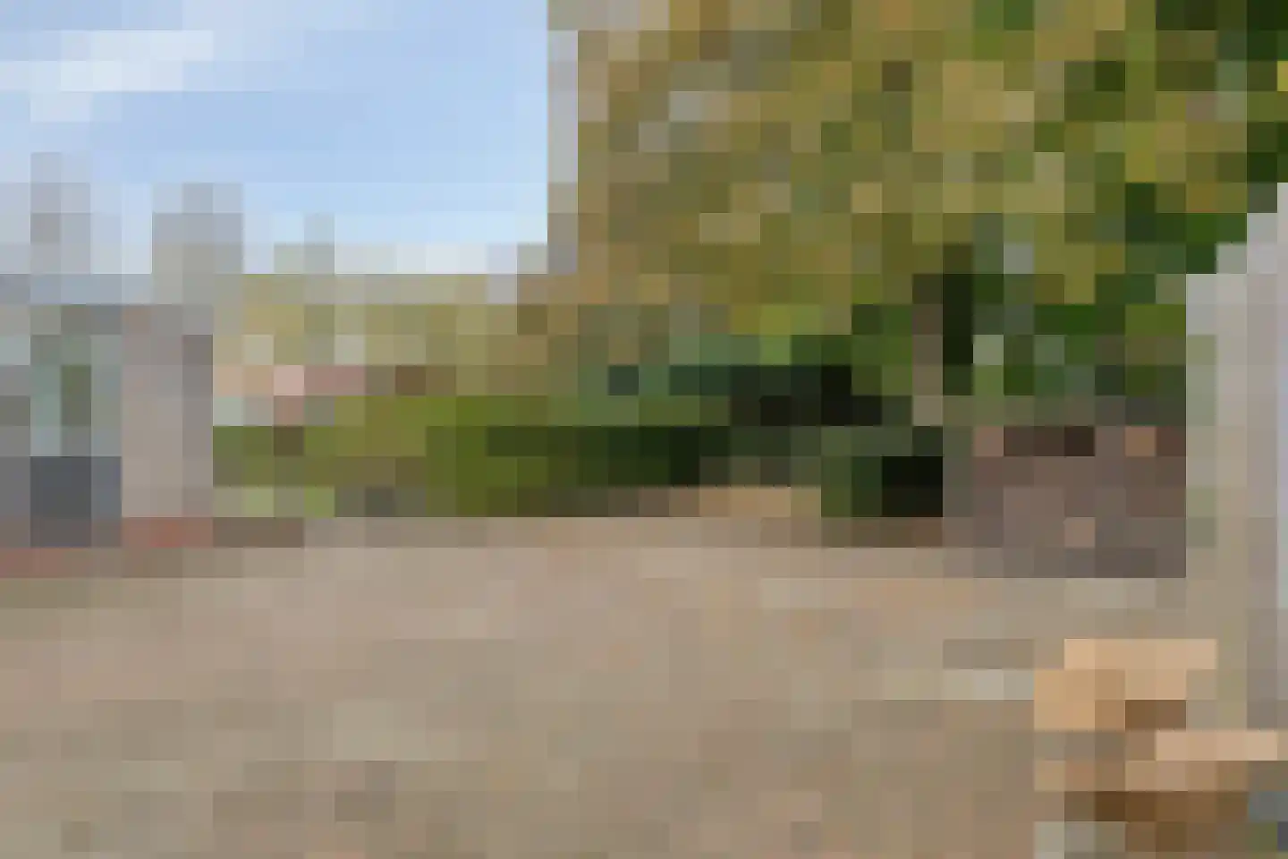 Hereweg 266 Meeden thumbnail 58