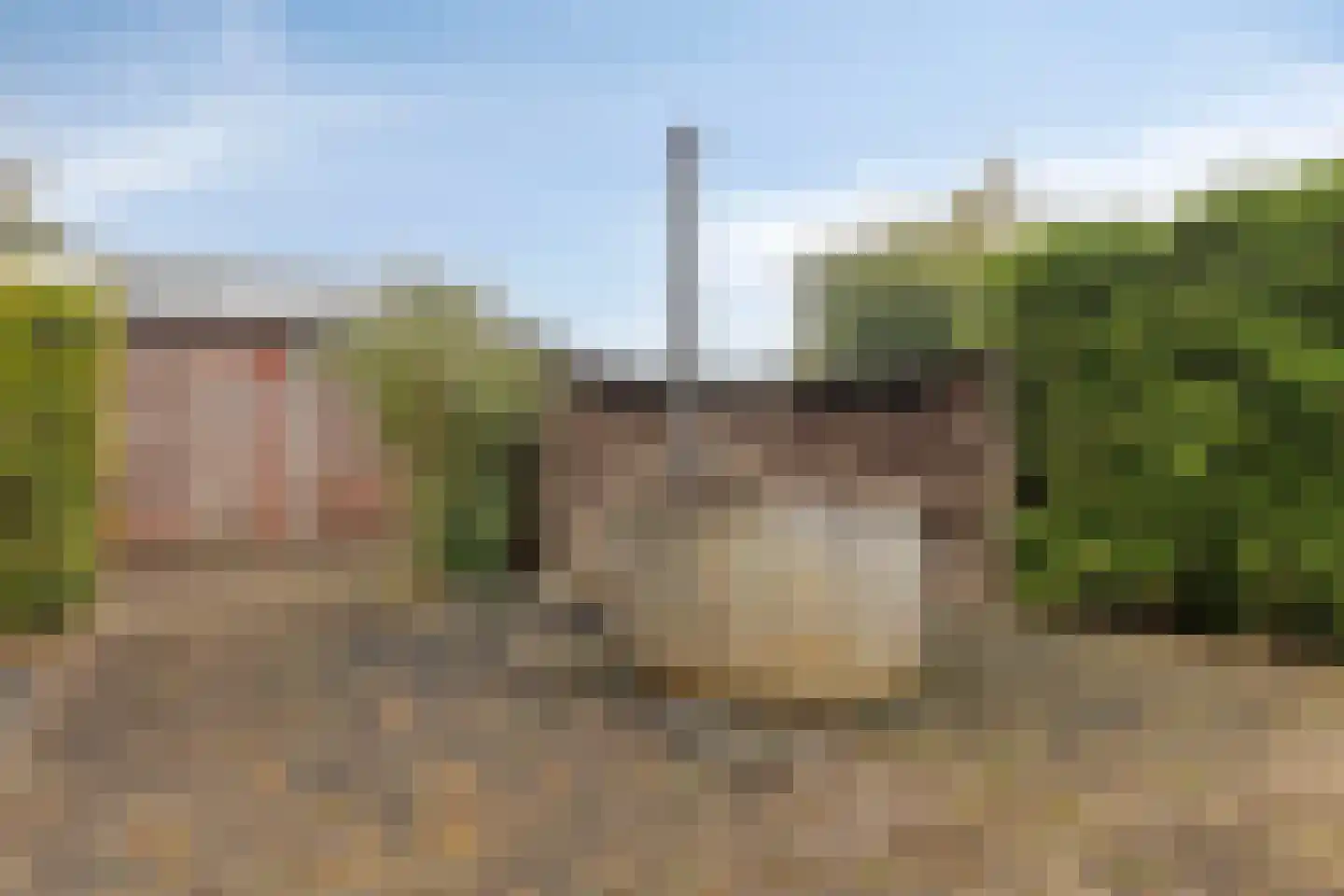 Hereweg 266 Meeden thumbnail 59