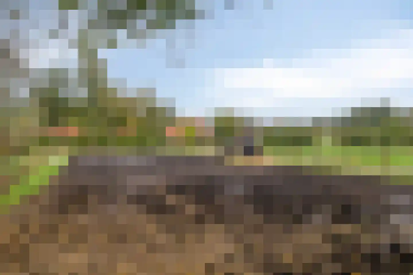 Hereweg 266 Meeden thumbnail 60