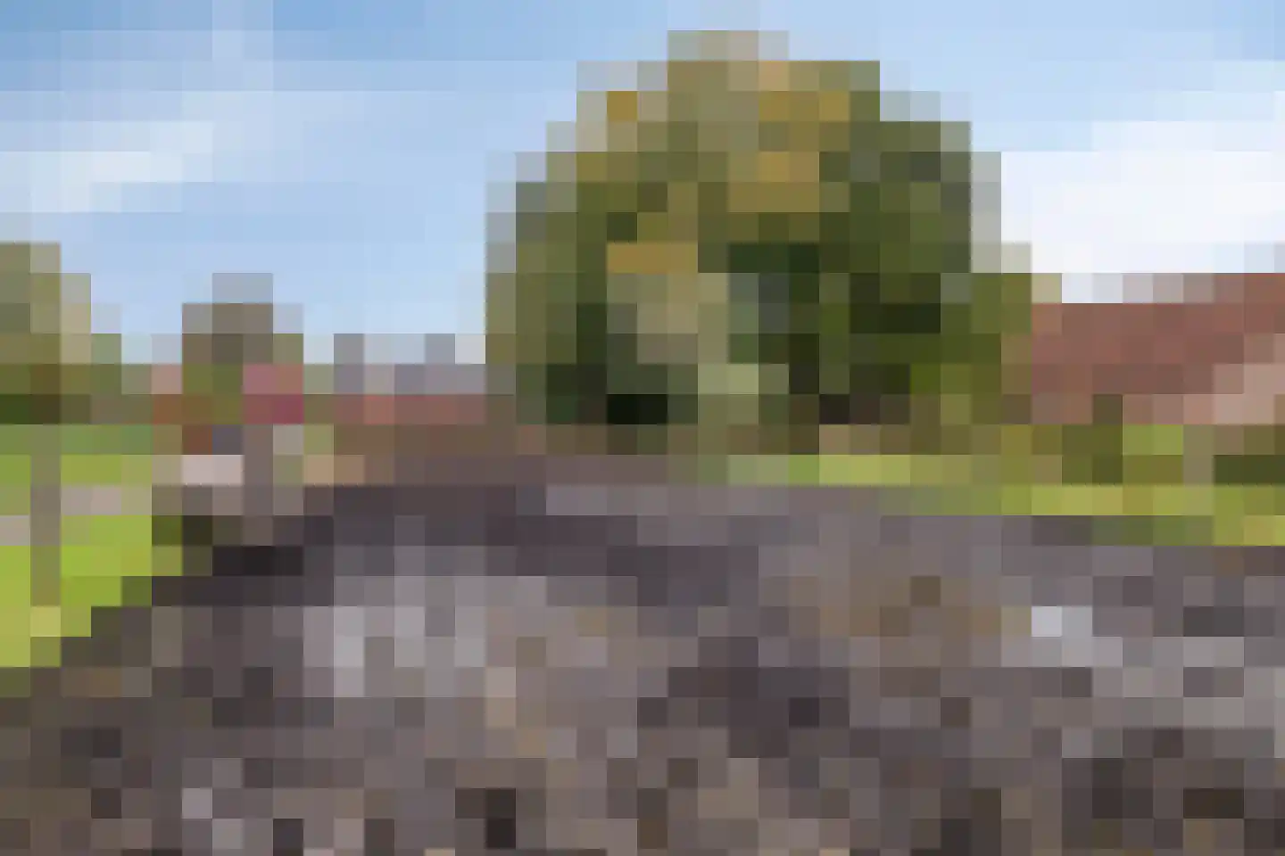 Hereweg 266 Meeden thumbnail 61