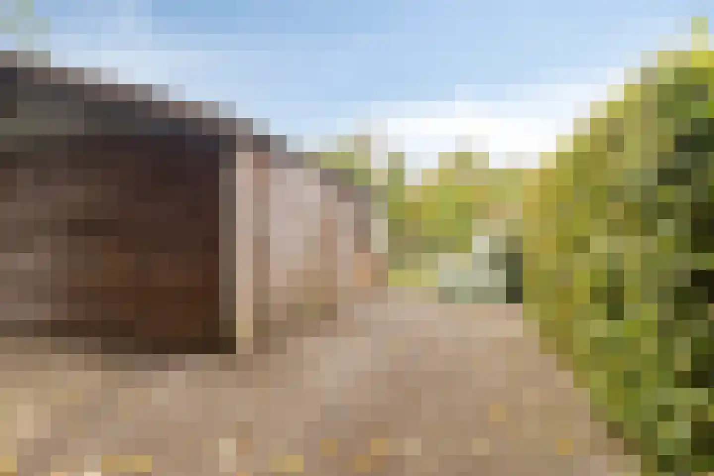 Hereweg 266 Meeden thumbnail 64