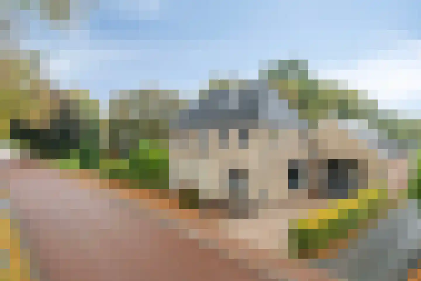 Hereweg 266 Meeden thumbnail 70