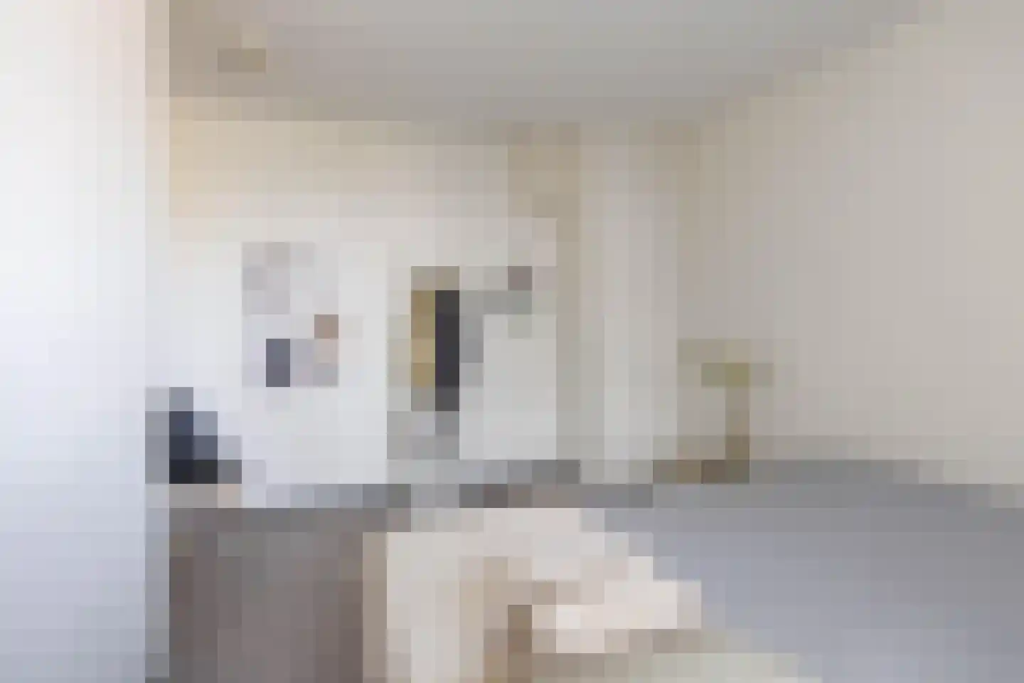 Hereweg 33 7 Groningen thumbnail 15