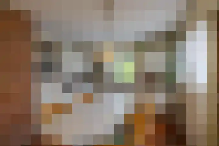 Hereweg 37 Bierum thumbnail 13
