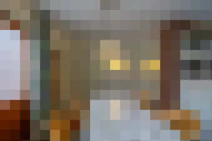 Hereweg 37 Bierum thumbnail 14
