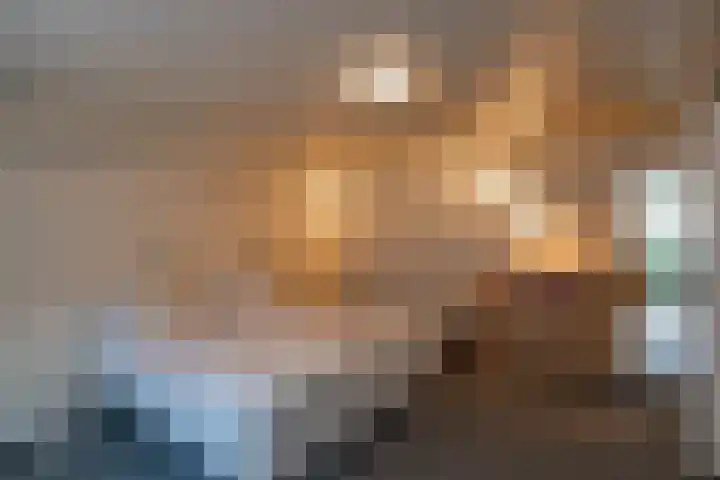 Hereweg 37 Bierum thumbnail 18