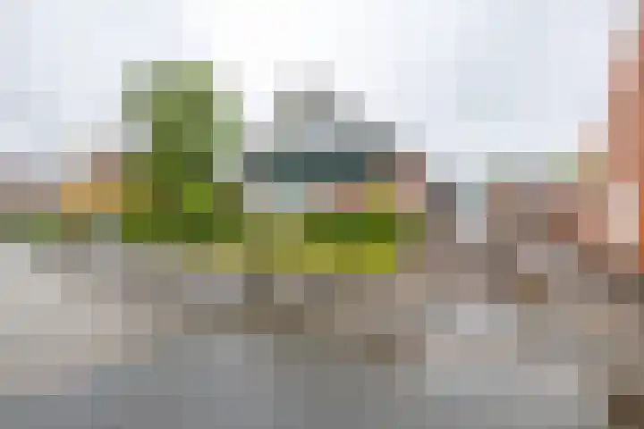 Hereweg 37 Bierum thumbnail 36