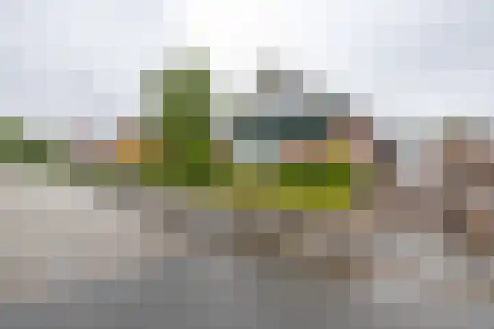 Hereweg 37 Bierum thumbnail 37