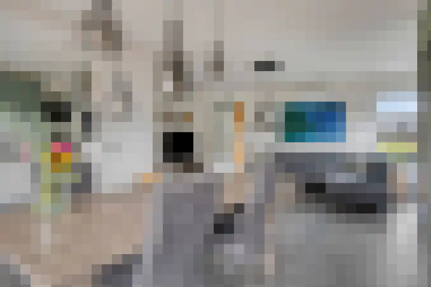 Hereweg 39 Landgraaf thumbnail 10