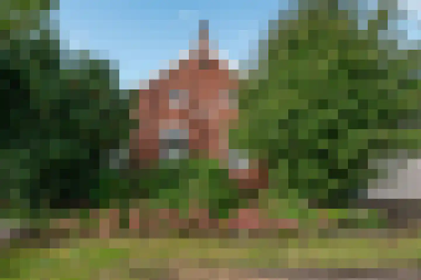 Hereweg 46 Meeden thumbnail 10
