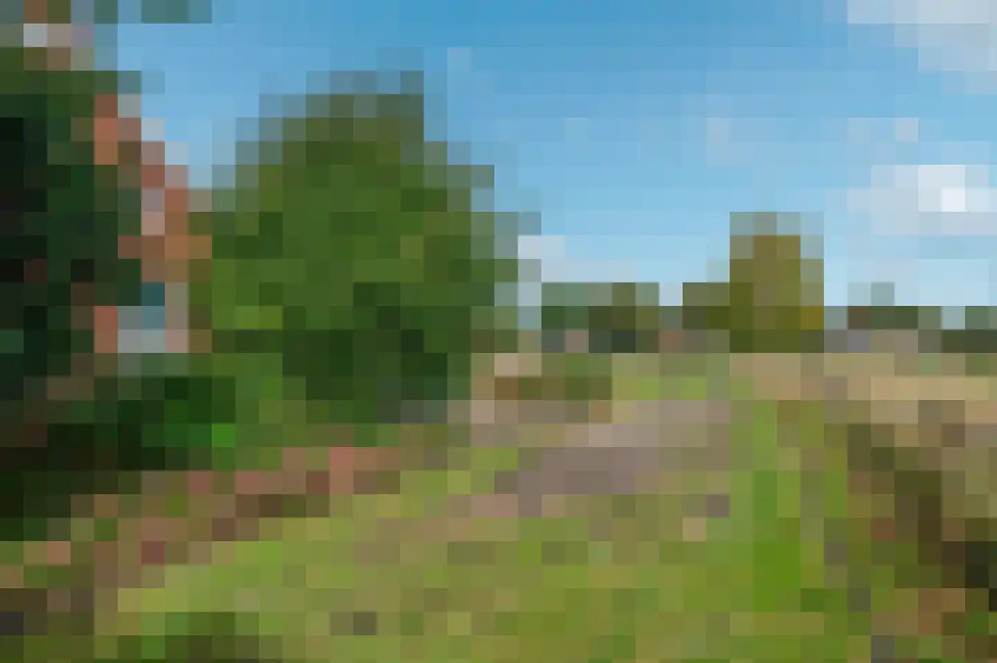 Hereweg 46 Meeden thumbnail 11