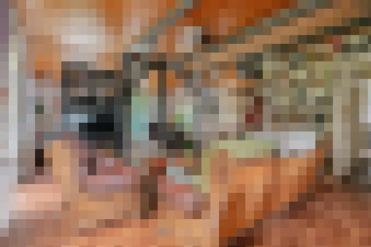 Hereweg 46 Meeden thumbnail 13