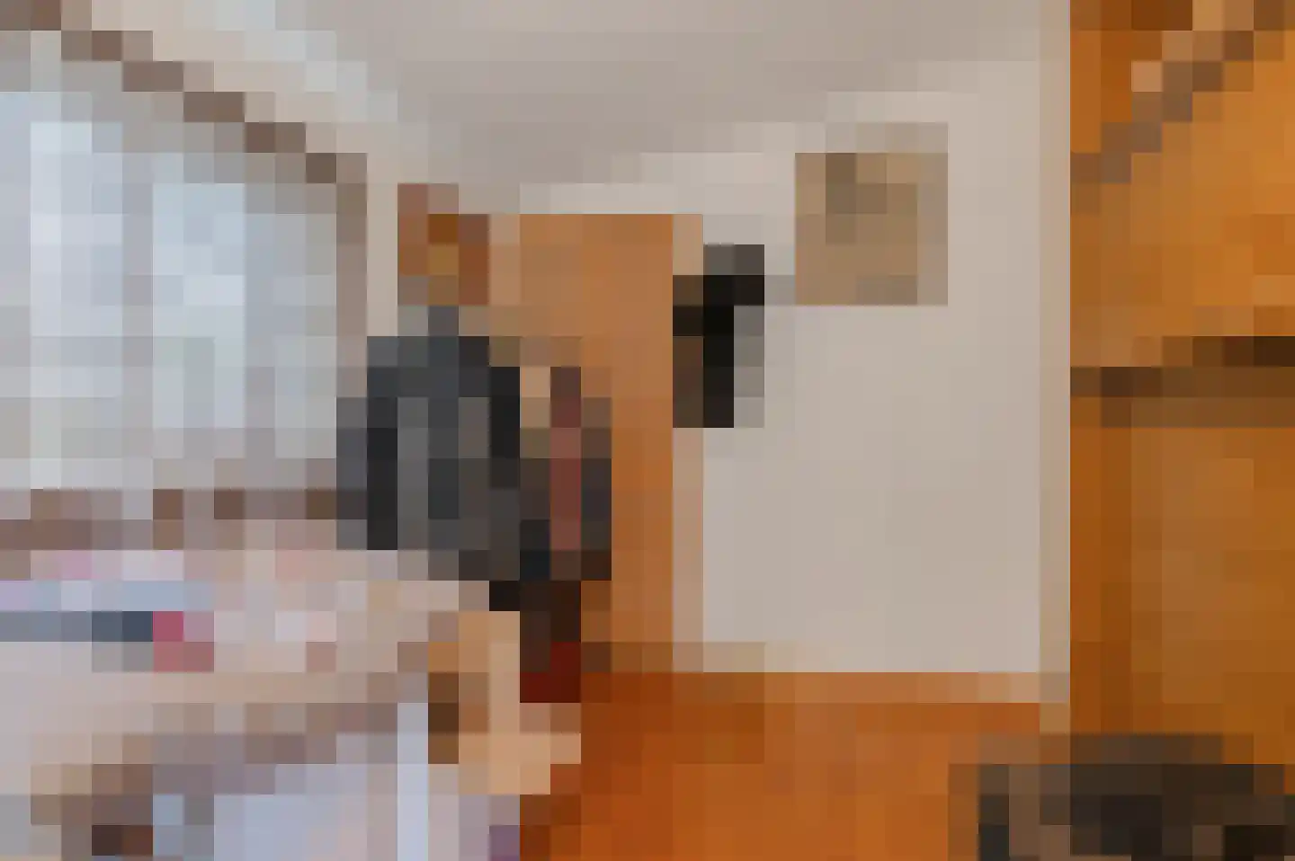 Hereweg 46 Meeden thumbnail 24