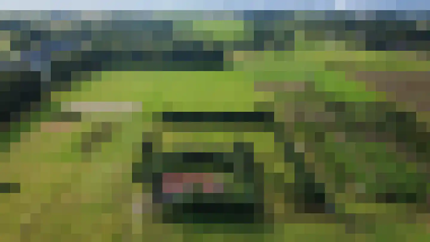 Hereweg 46 Meeden thumbnail 4