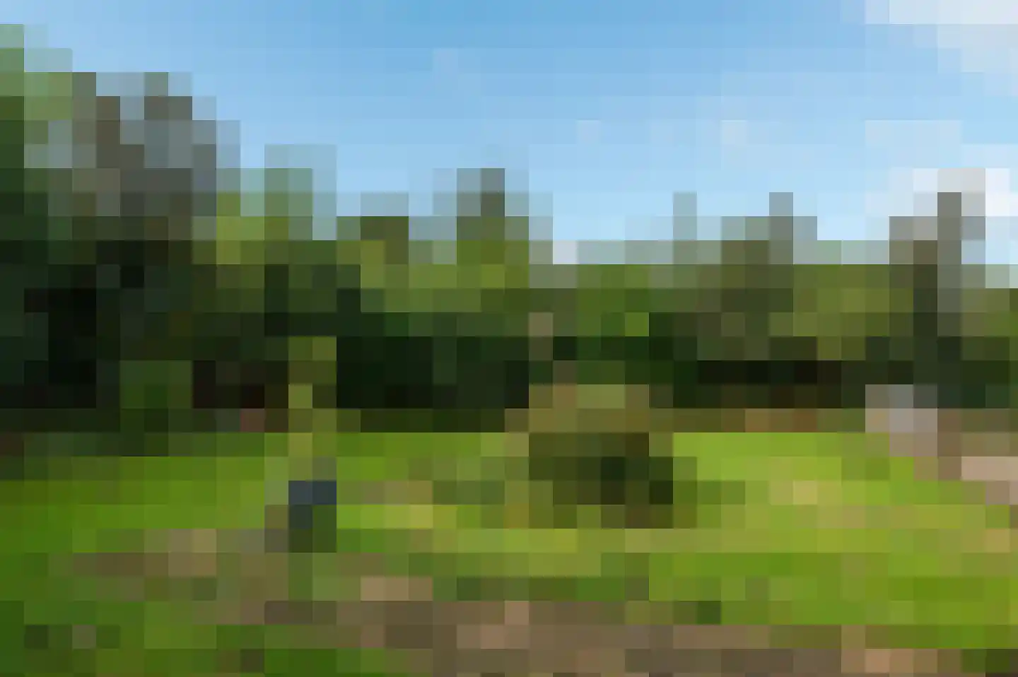 Hereweg 46 Meeden thumbnail 41