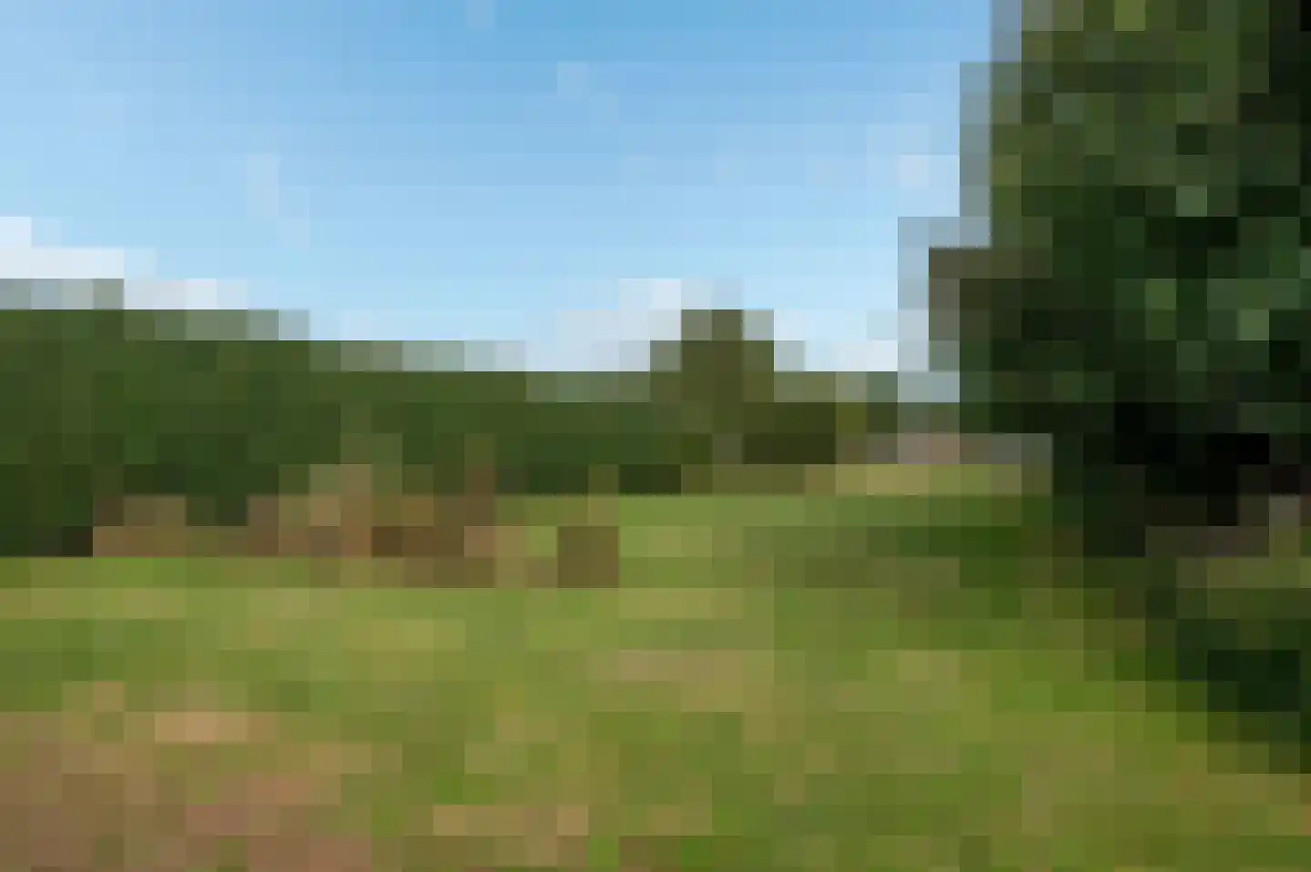 Hereweg 46 Meeden thumbnail 42