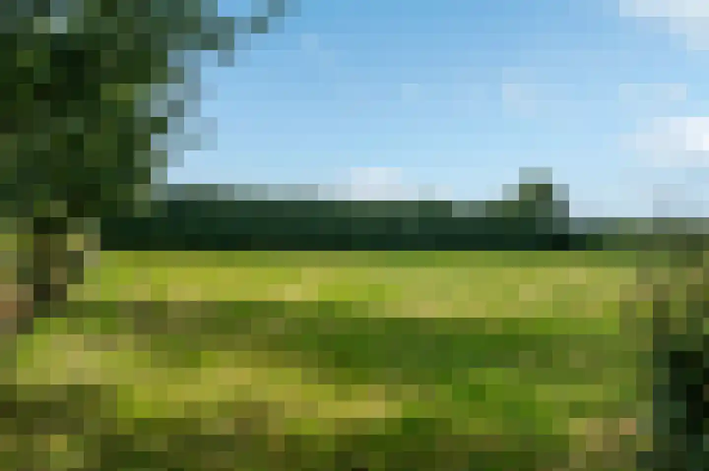 Hereweg 46 Meeden thumbnail 43