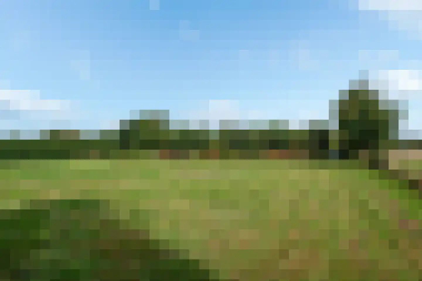 Hereweg 46 Meeden thumbnail 44
