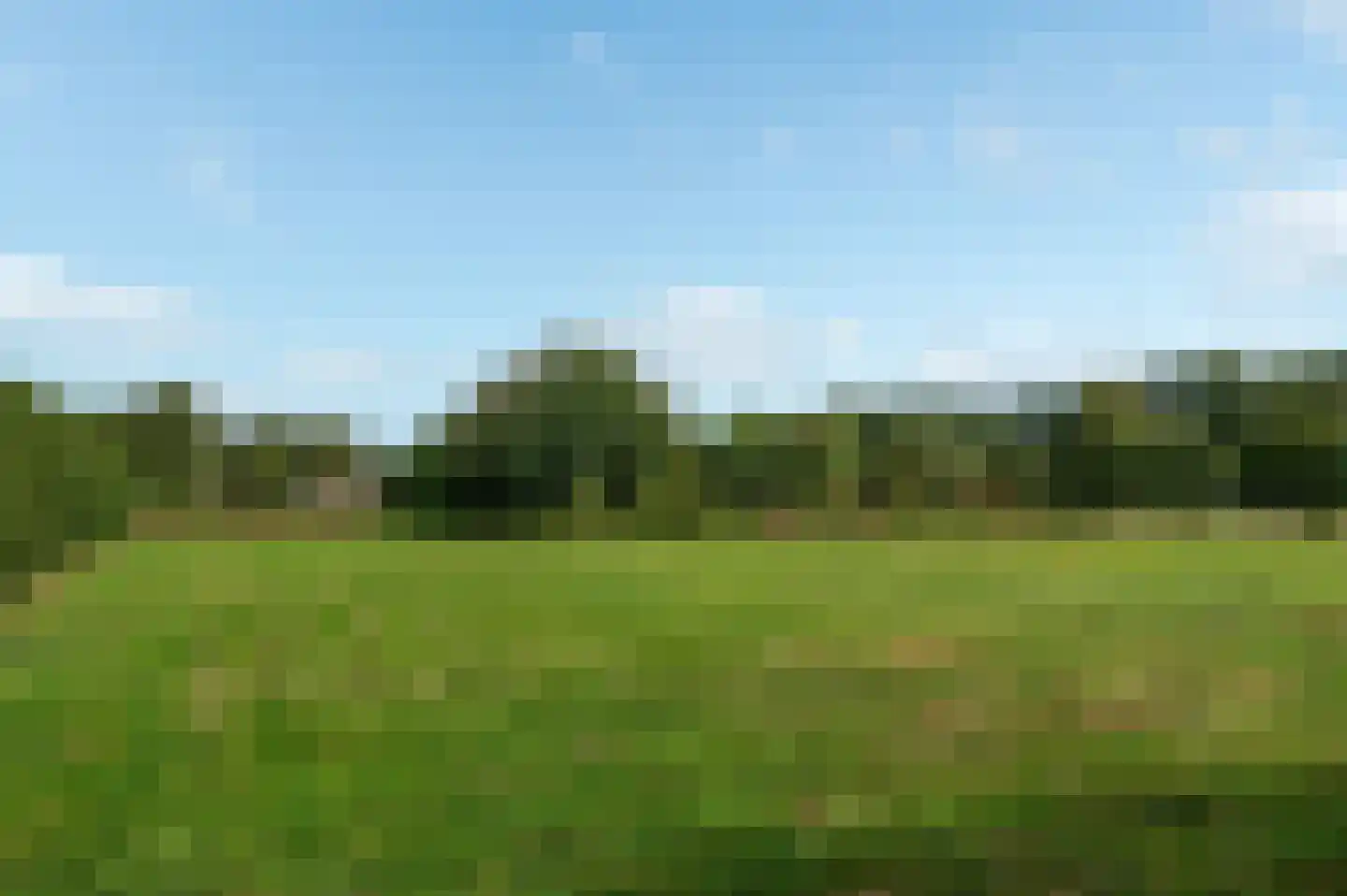 Hereweg 46 Meeden thumbnail 45