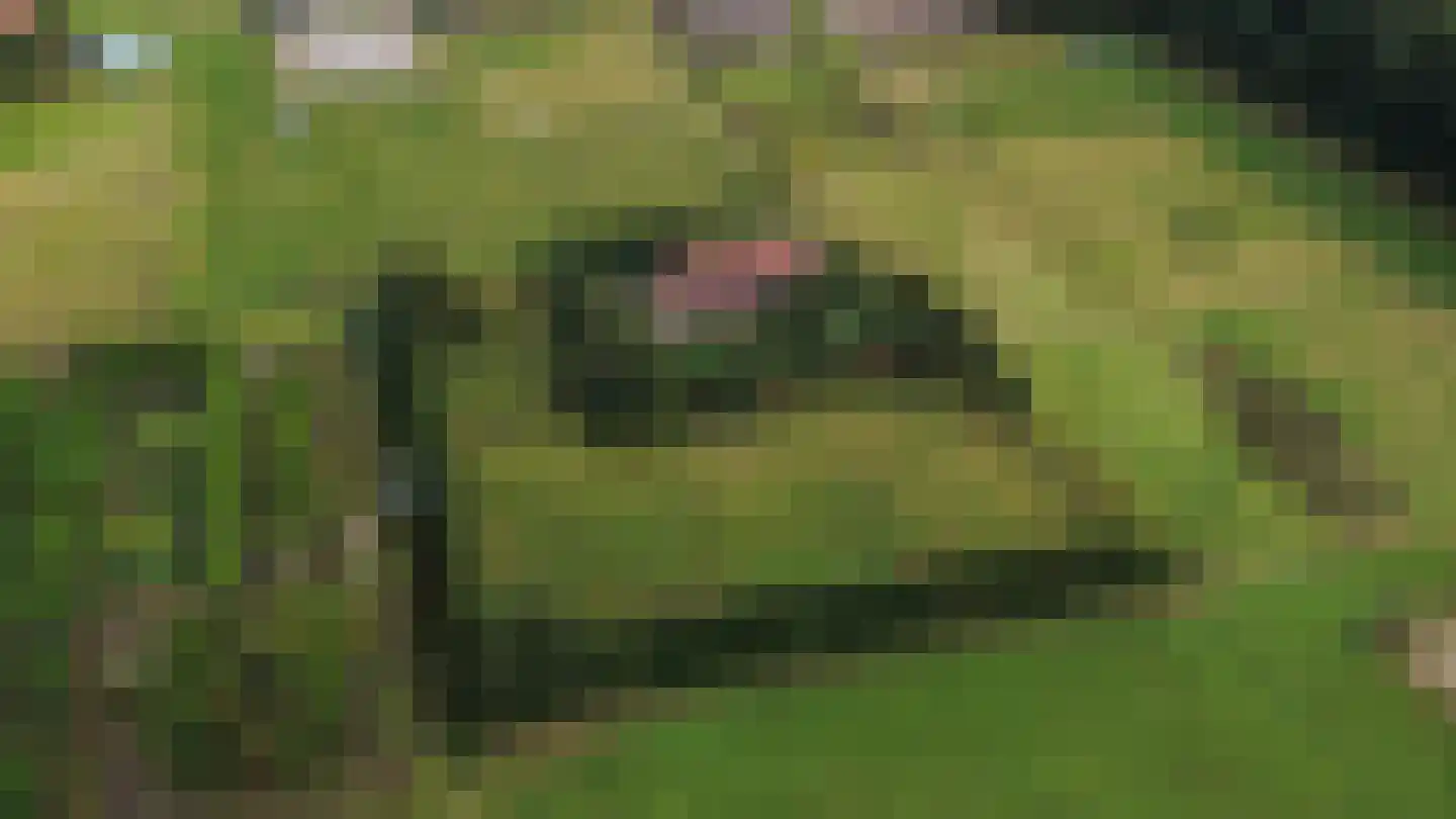Hereweg 46 Meeden thumbnail 47