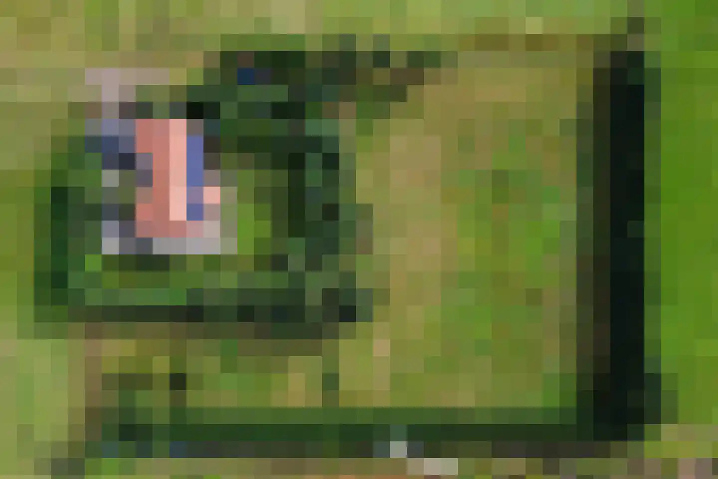 Hereweg 46 Meeden thumbnail 6
