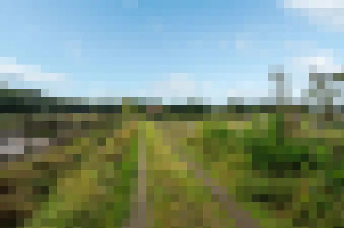 Hereweg 46 Meeden thumbnail 7