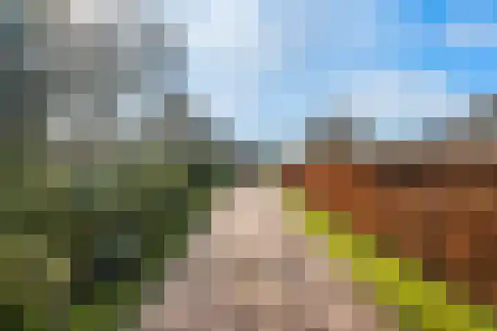 Hereweg 54 Meeden thumbnail 32