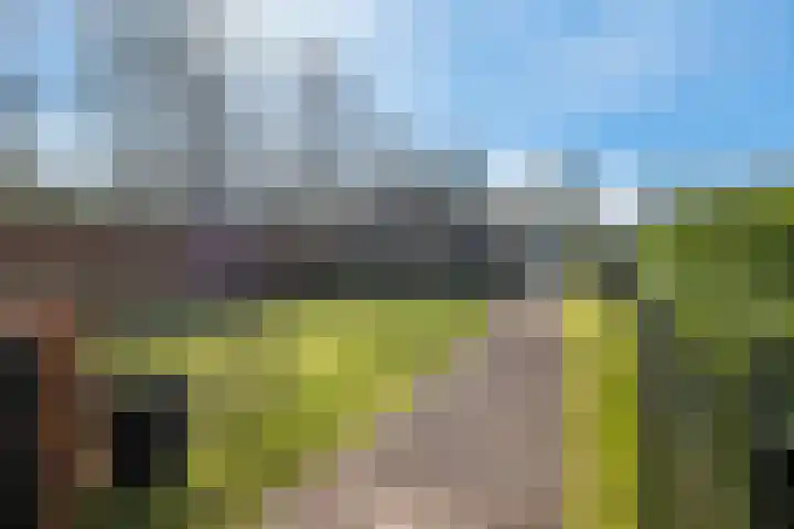 Hereweg 54 Meeden thumbnail 34