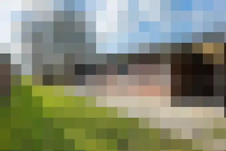 Hereweg 54 Meeden thumbnail 39
