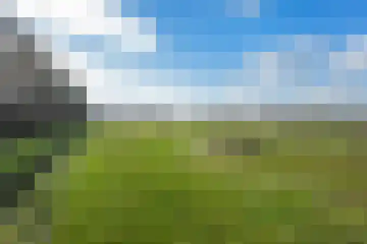 Hereweg 54 Meeden thumbnail 43